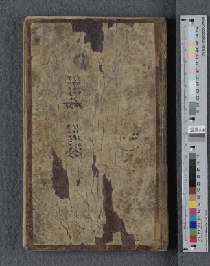 [Divan-i Baqi] : Cod. orient. 338