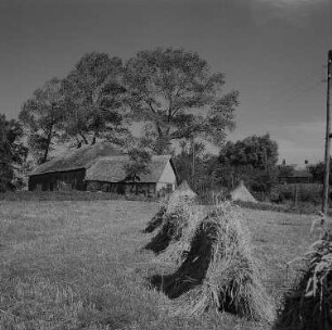 Bei Polchow. Der Klosterberg