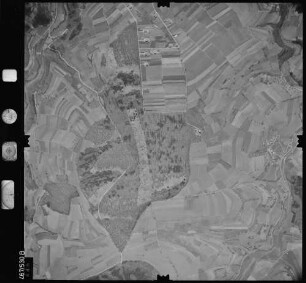 Luftbild: Film 101 Bildnr. 448
