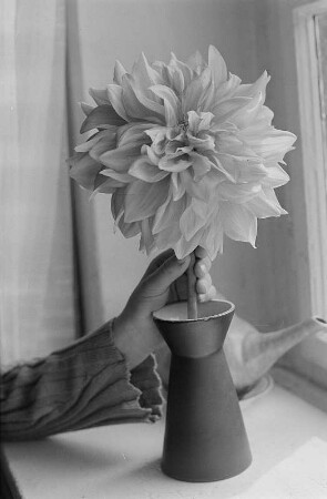 Vase mit Dahlie : Vase mit Dahlie