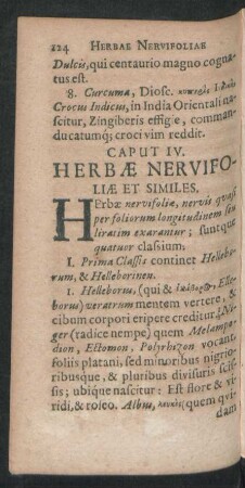 Caput IV. Herbae Nervifoliae Et Similes.
