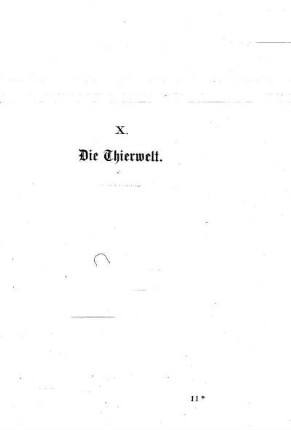 X. Die Thierwelt