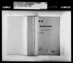 Diarien (Tagebücher)