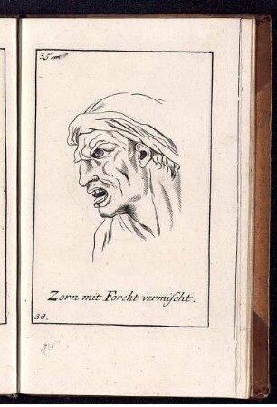 Zorn mit Forcht vermischt.