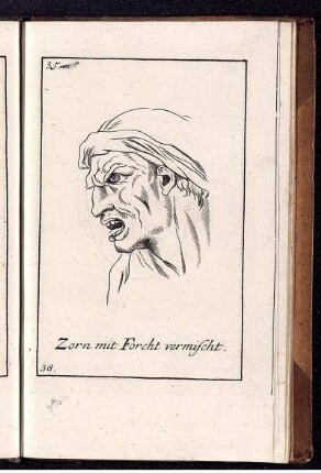 Zorn mit Forcht vermischt.