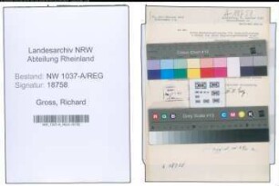 Entnazifizierung Richard Gross , geb. 23.05.1890 ()