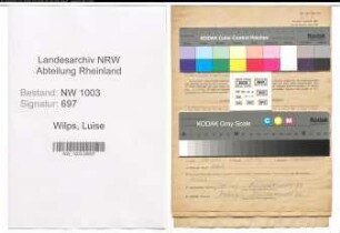 Entnazifizierung Luise Wilps , geb. 27.09.1909 (Kauffrau)