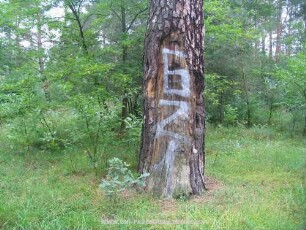 621
