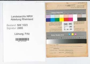Entnazifizierung Fritz Leinung , geb. 11.05.1902 (Kaufmann)