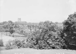 Burg Eisenhardt