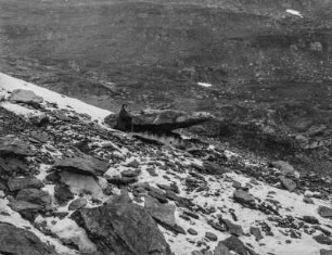 Kärso-Gletscher : Eine Frau steht mit einem Wanderstab auf einem felsigen Hang des Kärso-Gletschers südwestlich von Abisko im Nationalpark