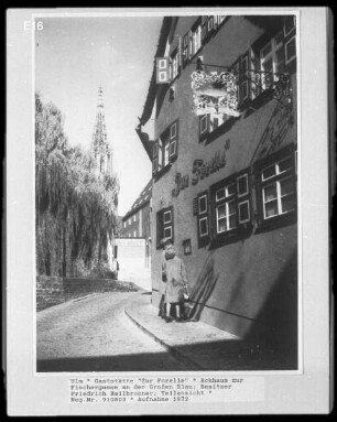 Zur Forelle