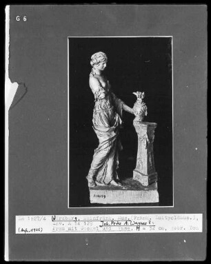 Venus