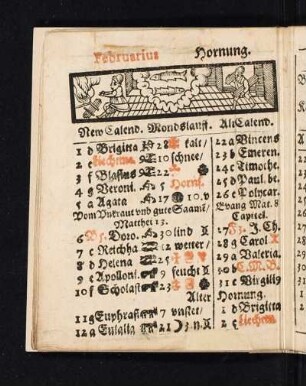 Februarius