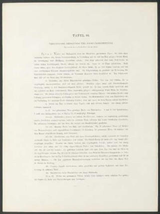Tafel 80. - Verschiedene Zierrathen und Schmuckgegenstände.