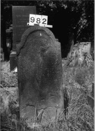 Grabstein 982 (Index: 99630484) Material: Sandstein Zustand: stark abgeblättert Maße HxBxT: 95x41x8 cm Beschreibung: Stele mit eingezogenem Rundbogenabschluß: Grabstein 982
