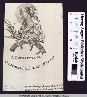 S. Catharina M.