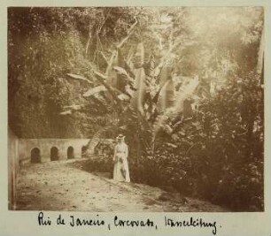 Rio de Janeiro, Corcovado, Wasserleitung