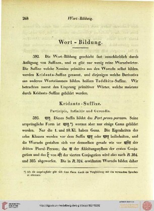 Wort-Bildung