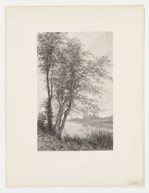 Étude de platanes, Blatt 24 der Folge "Le paysage au fusain"
