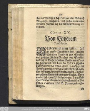 Caput XX. Von Unserem Consistorio.