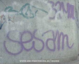 SeSam