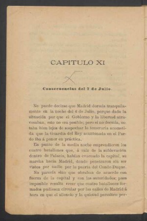 Capítulo XI - Consecuencias del 7 de Julio.
