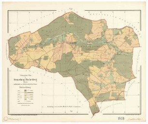 Buchenberg (Königsfeld im Schwarzwald VS)
