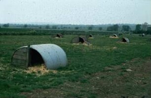Fotografie: Sauenhaltung, Weidehaltung, Einstreu, Einzelbox