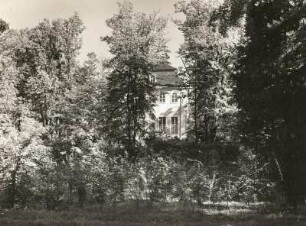 Neschwitz. Werdende Vogelschutzhecke (Vogelschutzstation Neschwitz)