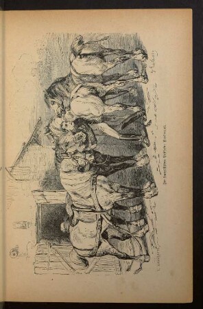 Tafel: Im französischen Posthofe: Percherons.