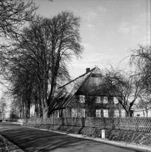 Hauptstraße: Bauernhaus mit Reetdach: davor hohe Bäume und Jägerzaun: Winter