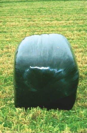 Fotografie: Futtererntetechnik, Rundballen, Silage