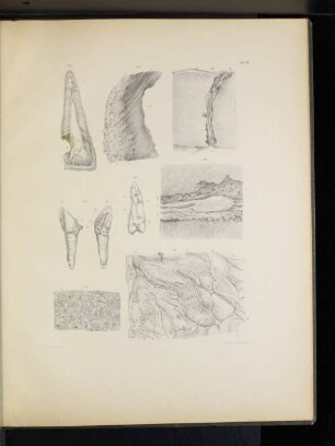 Taf. XII.