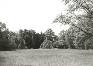 Dresden-Strehlen. Park der ehem. Königlichen Villa an der Palais-(Franz-Liszt-) Straße. Wiesenplan von starken Laubbäumen umrahmt