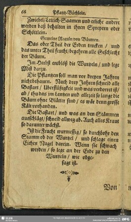 Gemeine Regeln von Bäumen