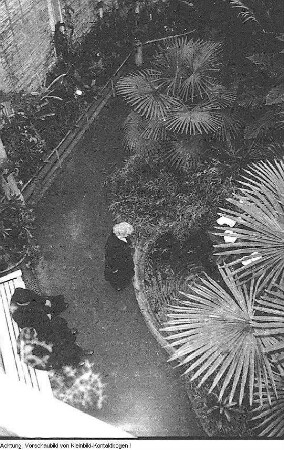 Verschiedenes, Gespräch mit Erwin Geschonneck über seinen Film "Hauptmann von Köln", Palmenhaus in Pillnitz, Schwäne im Großen Garten, Brunnen vor dem Studentenwohnheim Güntzstraße, Geldgewinn beim Sporttoto, Kulissenaufbau für den Film "Rosenstrasse", Reproduktionen: Mordlisten des Besattungsamtes der Nationalsozialisten, u.a., Januar-Juni 1957