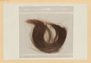 Karl Stieler (1842-1885) Nachlass: Haarlocke von Karl Stieler - BSB Stieleriana II 12.I.5
