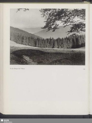 In den Bergen bei Tabarz
