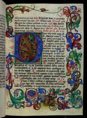 Zierinitiale (Psalm 109): D(ixit dominus domino meo)