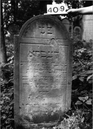 Grabstein 409 (Index: 99803659) Material: Sandstein Zustand: verwittert Maße HxBxT: 110x54x10 cm Beschreibung: Stele mit eingezogenem Rundbogen und profiliertem Rand: Grabstein 409