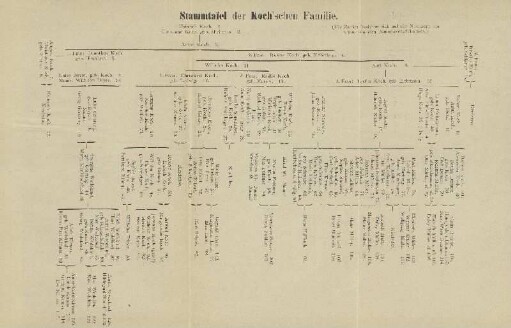 Stammtafel der Koch'schen Familie