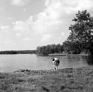 Großensee: Südufer: Badestelle: vorn Frau mit Kleinkind am Ufer: rechts am gegenüberliegenden Ufer hinter Bäumen Zelte