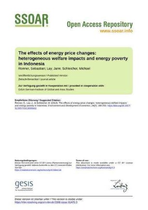 The effects of energy price changes: heterogeneous welfare impacts and energy poverty in Indonesia