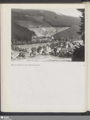 Blick von Manebach auf den Großen Hermannstein
