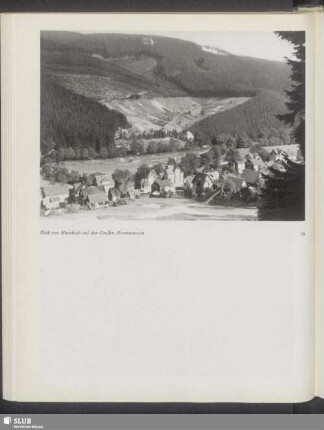 Blick von Manebach auf den Großen Hermannstein