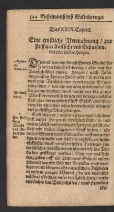 Das XXIX. Capitel.