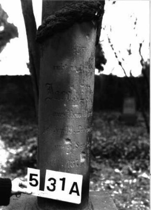 Grabstein A I/5/31A