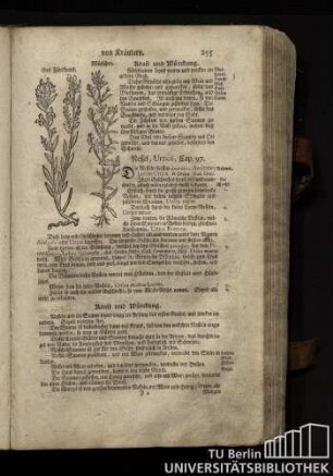 Cap. 97. Nessel, Urtica.
