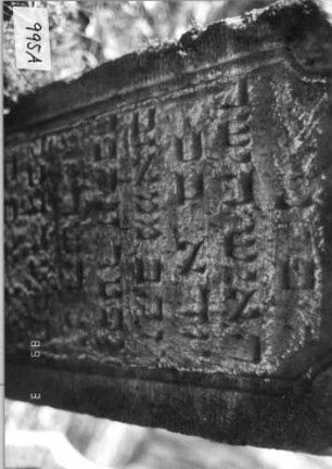 Grabstein 995 (Index: 99751348) Material: Sandstein Zustand: verwittert, Stele nach vorne gekippt Maße HxBxT: 97x50x9 cm Beschreibung: Stele, geschwungen eingezog. Rundbogenabschl. , Schriftfeld eingetieft: Grabstein 995A